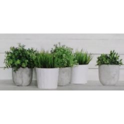 Csempe, Valore Lakewood Spa Dekor (CCR56) 30x60