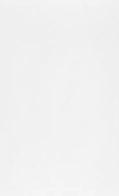 Csempe, Zalakerámia CARNEVAL MATT FEHÉR 25X40 ZAL-ZBK 602