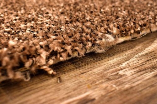 Padlószőnyeg, Modena Termo 00067