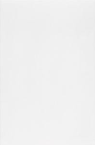 Csempe, Zalakerámia CARNEVAL FÉNYES FEHÉR 20X30 ZFE-ZBR 301