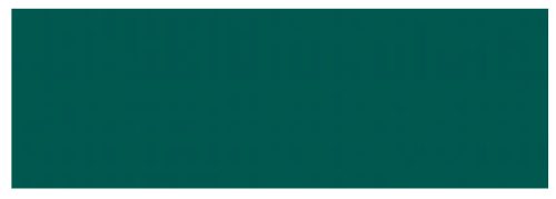 Csempe, Valore EMERALD FOREST RET 25x75