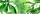Dekorlap,  Valore GARDEN TROPIC DEKOR B RET 25x75
