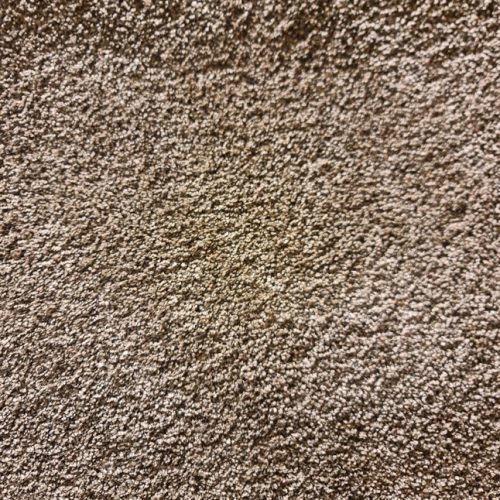 Padlószőnyeg, Modena 80467