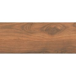 Járólap, Cersanit Dorfwood GPT1114 Brown Matt 18,5X59,8 cm